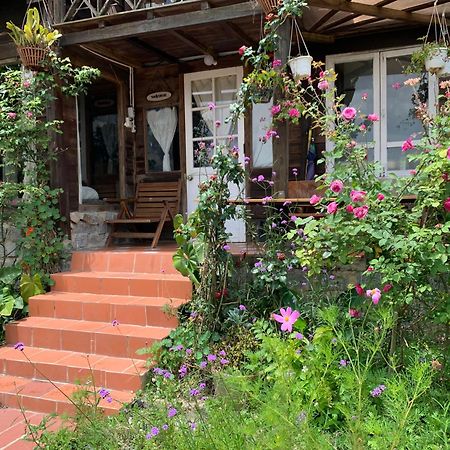 Romantic House On A Pine Hill Dalat Exterior foto