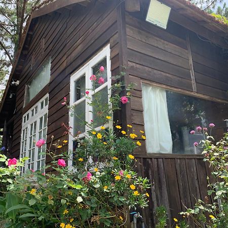 Romantic House On A Pine Hill Dalat Exterior foto