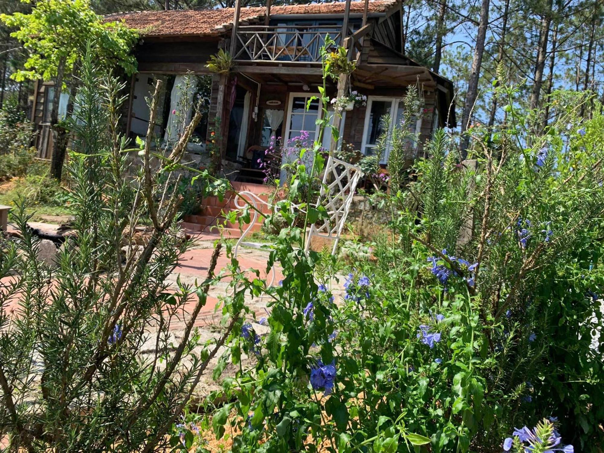 Romantic House On A Pine Hill Dalat Exterior foto