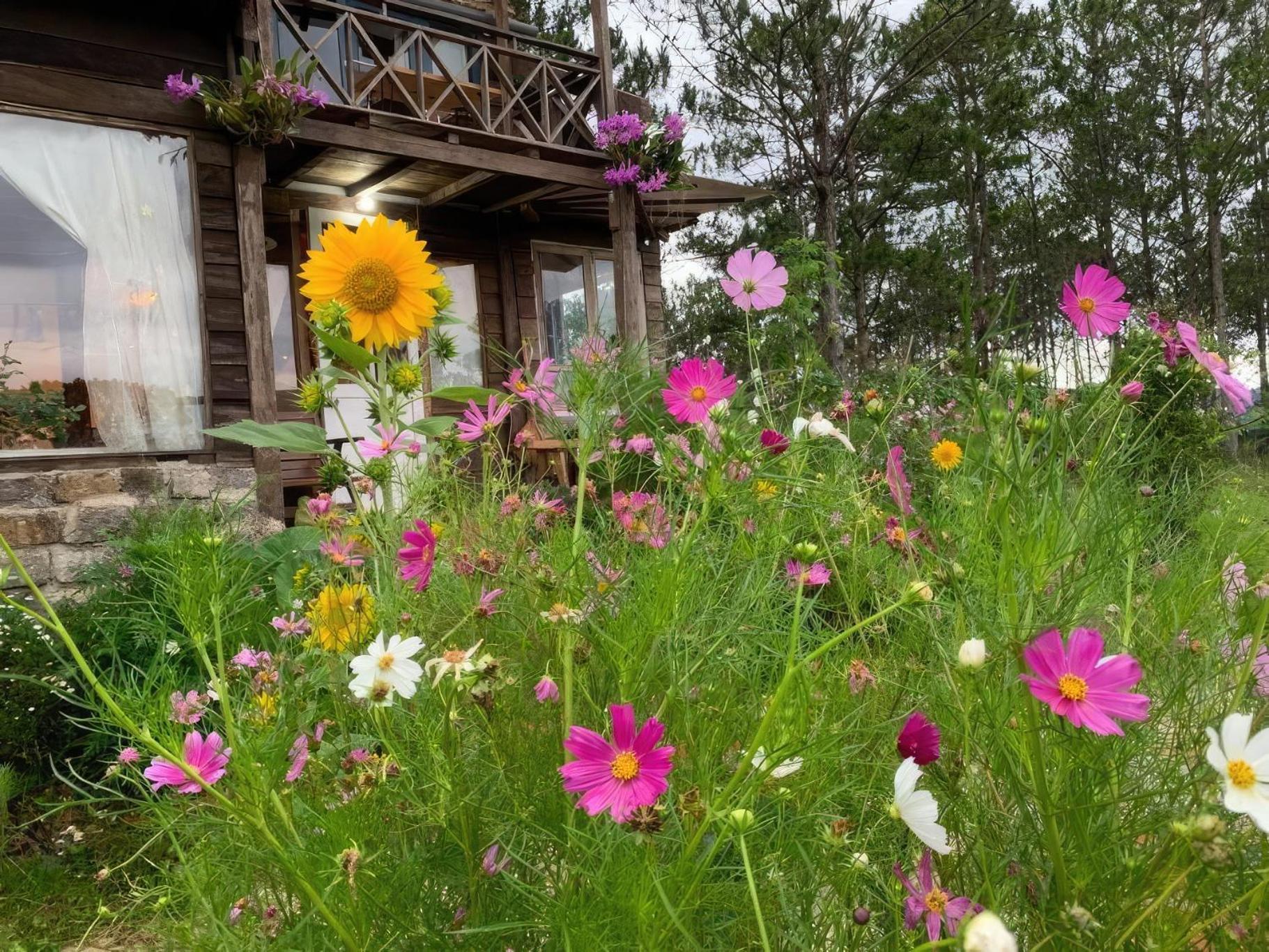 Romantic House On A Pine Hill Dalat Exterior foto