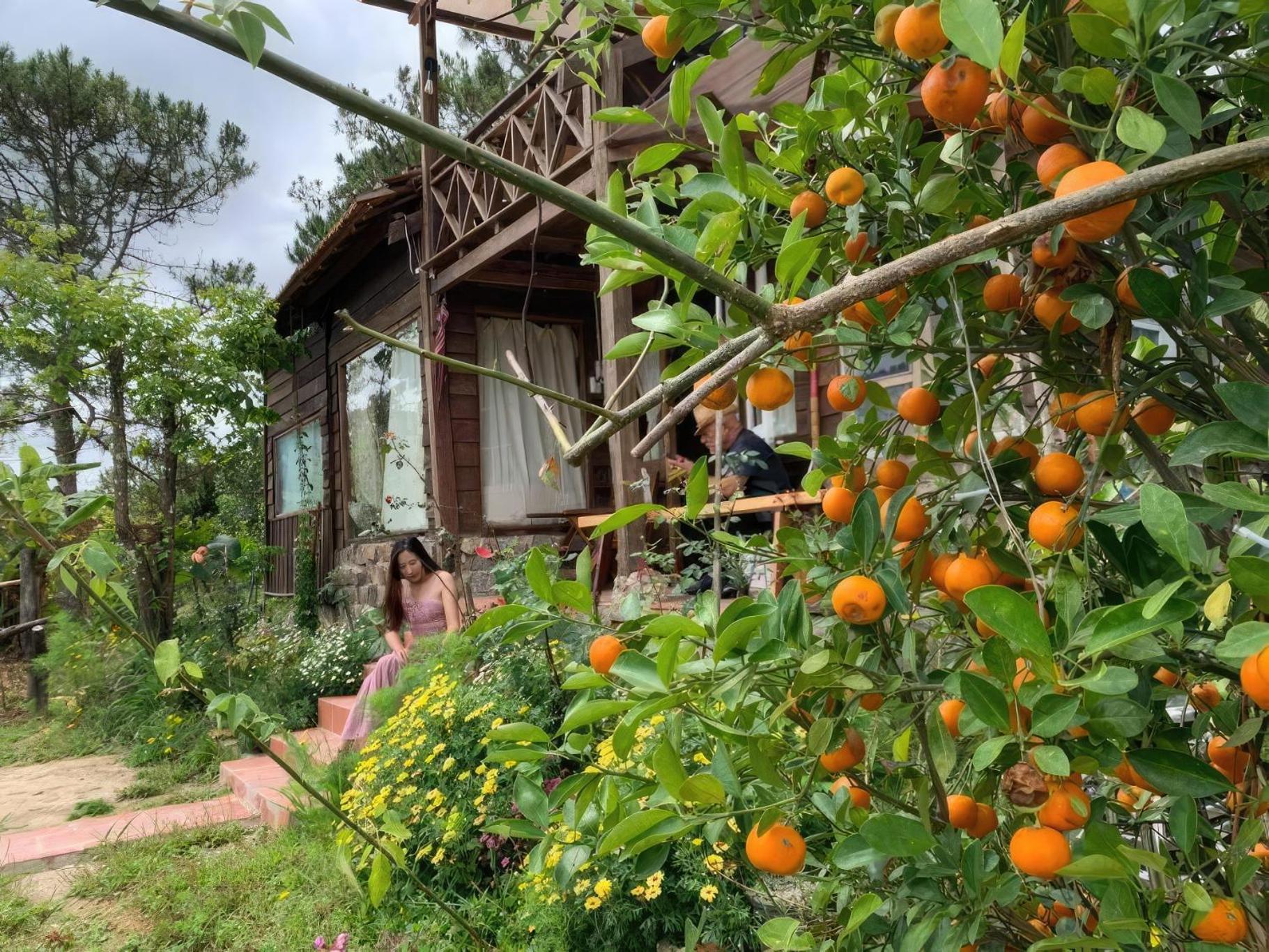 Romantic House On A Pine Hill Dalat Exterior foto