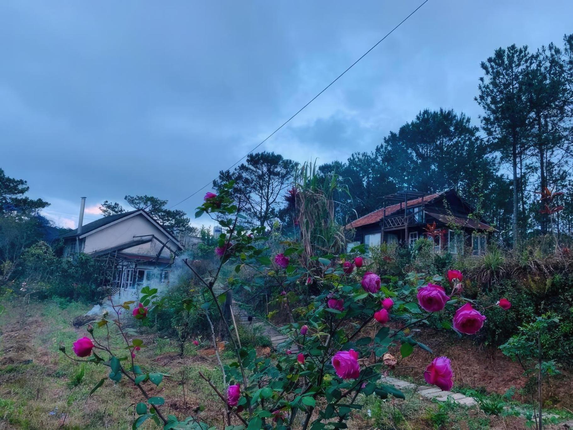 Romantic House On A Pine Hill Dalat Exterior foto