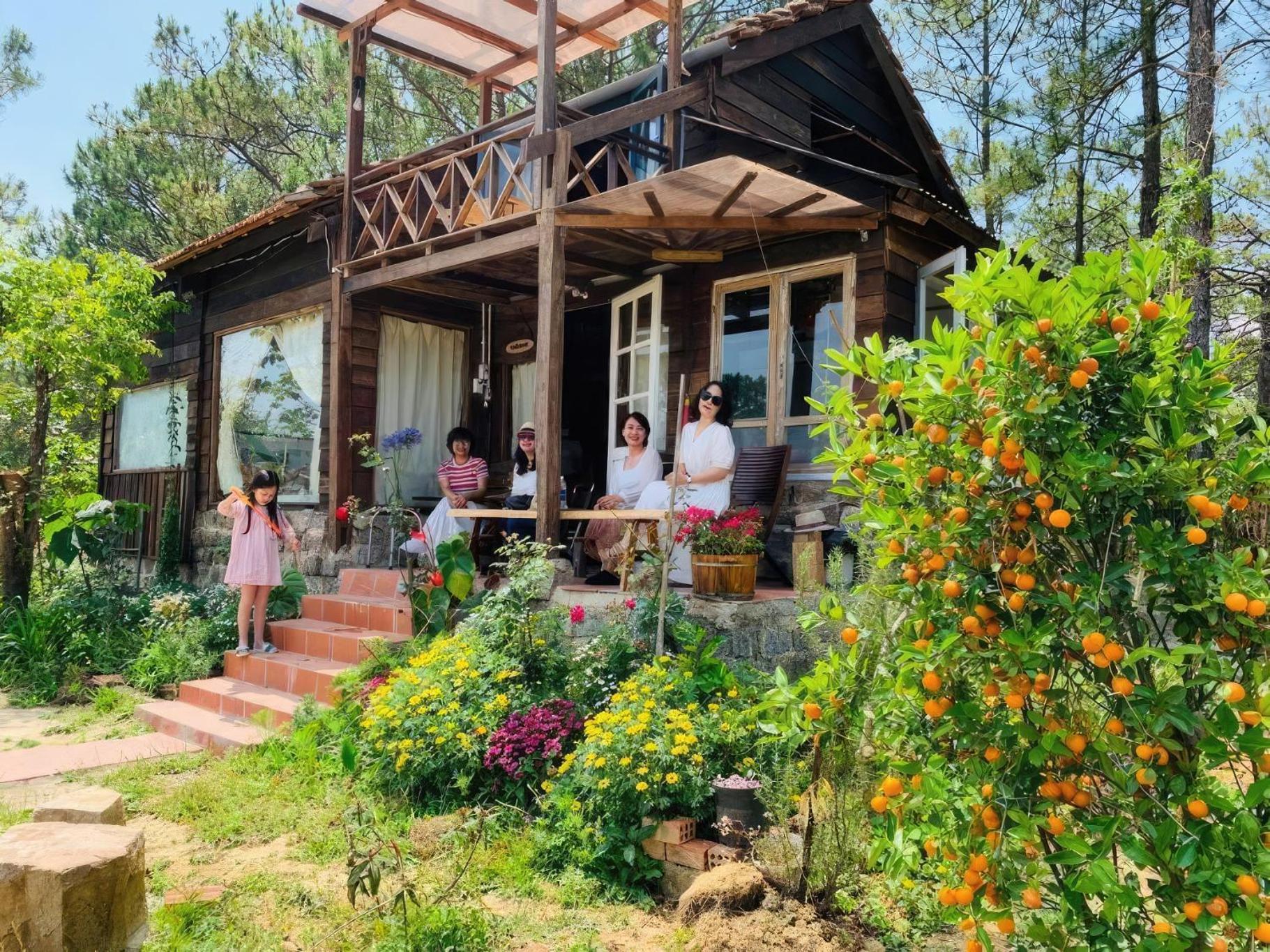 Romantic House On A Pine Hill Dalat Exterior foto