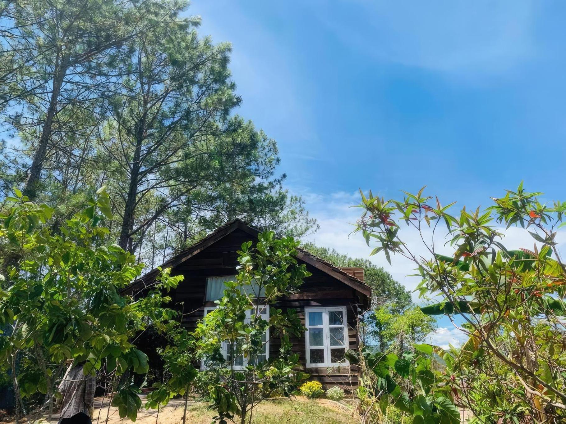 Romantic House On A Pine Hill Dalat Exterior foto