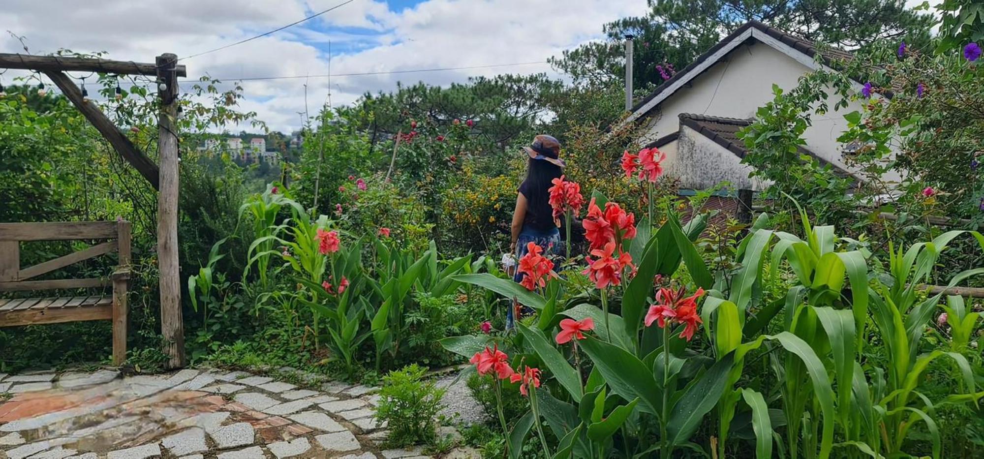 Romantic House On A Pine Hill Dalat Exterior foto